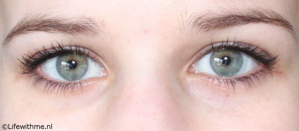 Anatomicals ogen